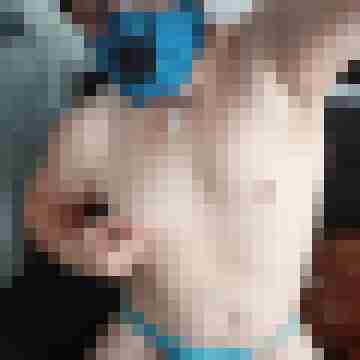 lex_bi89
