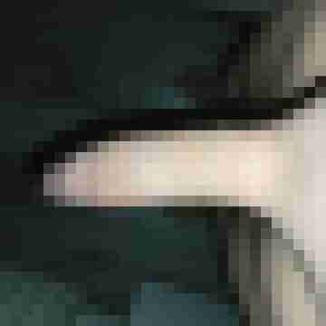 spermaschuss