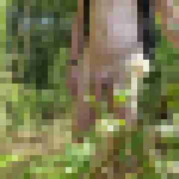 Rick_74