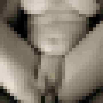 enzioxx
