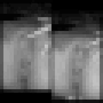 LS84_77M