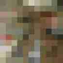 nando_ber