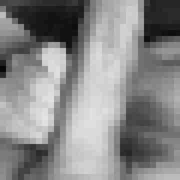 HornyShadowcreature