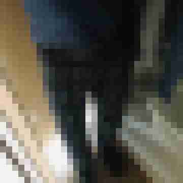 tom_schweizer