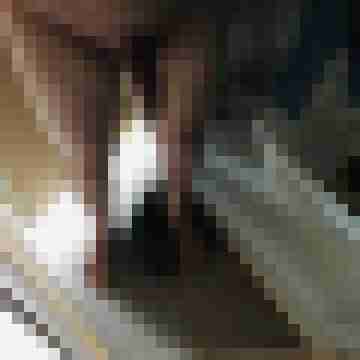 tom_schweizer