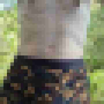 Biboy72