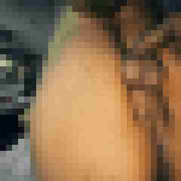 Barthelemy85