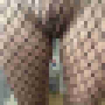 Slut-Wue