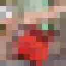 reifundhot