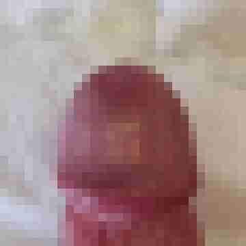 helmut-ll