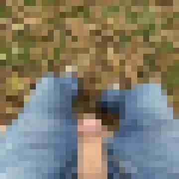 BiML06