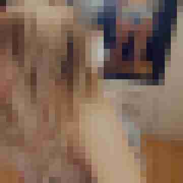 IceAngelDeluxe-