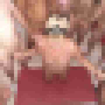 Pigtom
