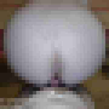 buschiMuschi_pralleEier