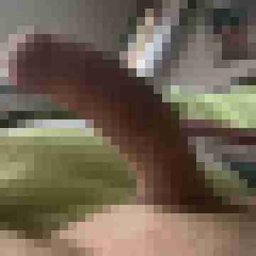 t3uf3lsk3rl