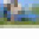 ruedi_wolf