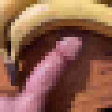 Hotdawg1