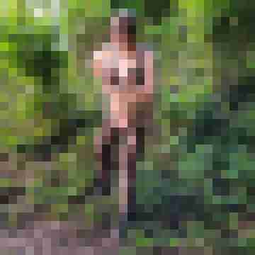 Pulika
