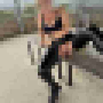 XL-Luder31