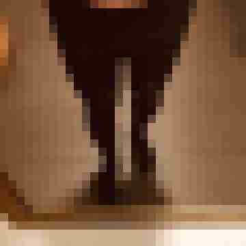 tom_schweizer