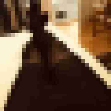 tom_schweizer