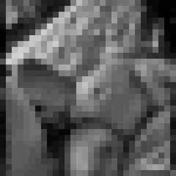 Nachtschatten1