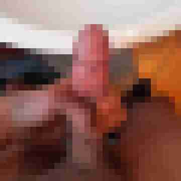 Tim26445