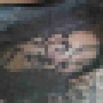 Hansi781