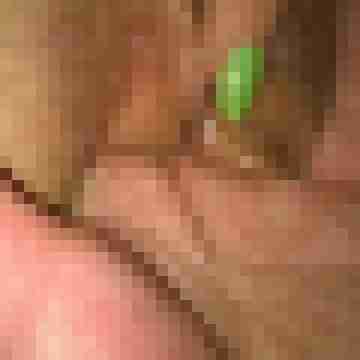 HOTANDI69