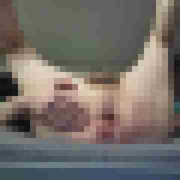Wild_auf_Nylon