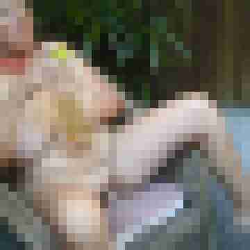 Letsy4u2c