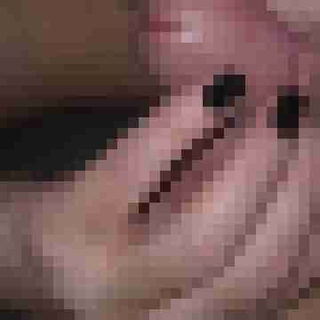 AnSy