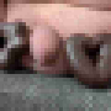 Dughal74