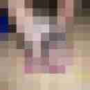 fussficker