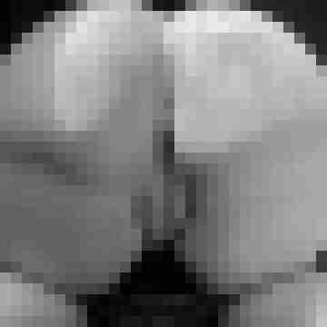 PervDuo