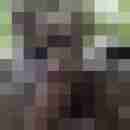 tvlochbln
