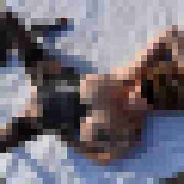 Sowe4244
