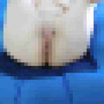 duiz