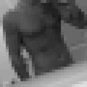 Dssmi
