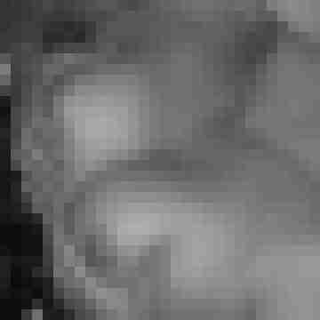 lisa733