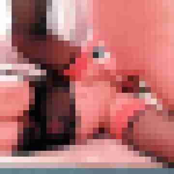 seemann0706