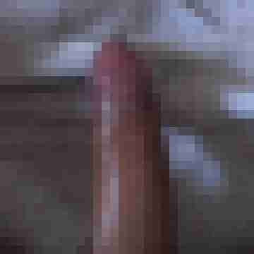 thef81