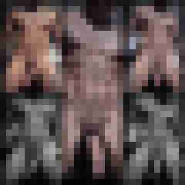 LS84_77M