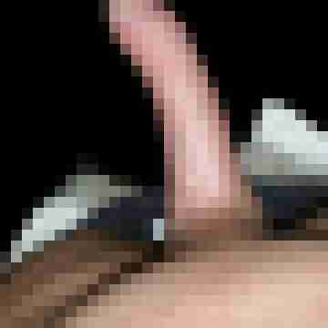 Curvedcock_1976