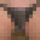lucas53