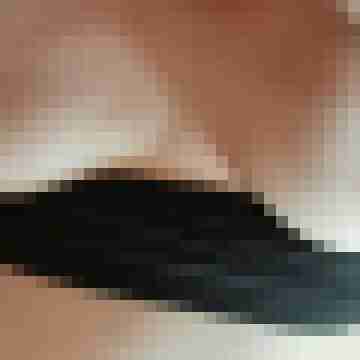 flitscherl1