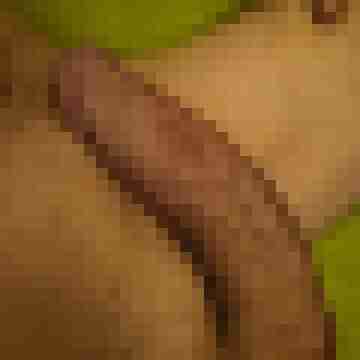 strongi