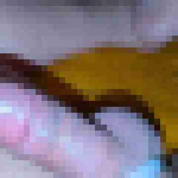 MartinDTM