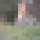 ruedi_wolf