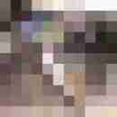 Ficksahnelovers